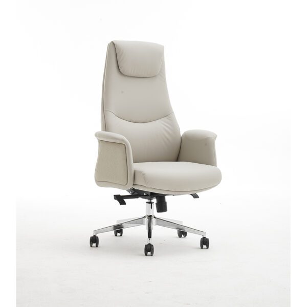 Premium Chair - SP-404A - Image 2