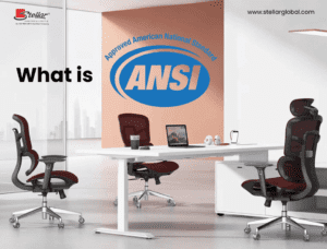 Furniture - Stellar Furniture - ansi 2