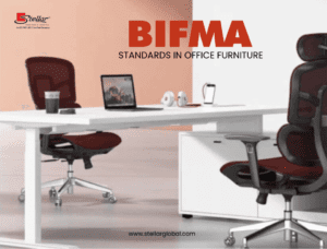 Furniture - Stellar Furniture - ansi 3