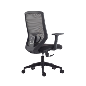 Medium Back Rev Chair HT-255B