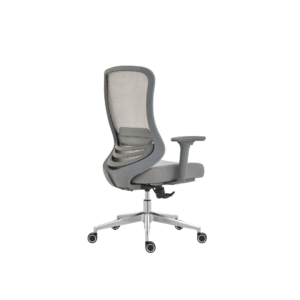 Medium Back Rev Chair HT-316BG