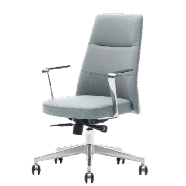 Premium Chairs - SP-409B