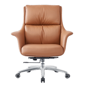 Specifications of Premium Chair SP-419B