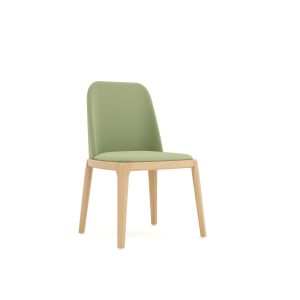 SS-1009