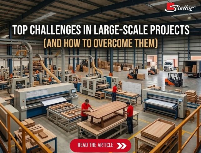 Top Challenges in Large-Scale Projects (And How to Overcome Them)